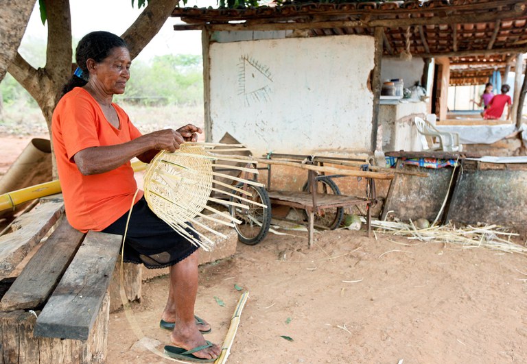 recuperada_7b323250-251e-4770-80a6-175b7b61776e-2