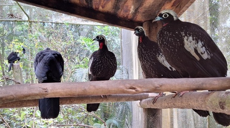 recuperada_da2f7d4d-148c-4e8f-8ef4-d608070cffca