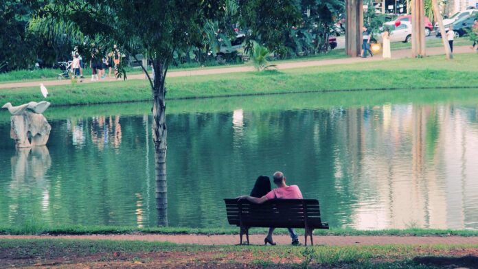 advocacia-p-blica-sustent-vel-gest-o-de-riscos-psi Pessoa em escritório moderno, concentrada no computador, representando um ambiente de trabalho equilibrado e saudável.