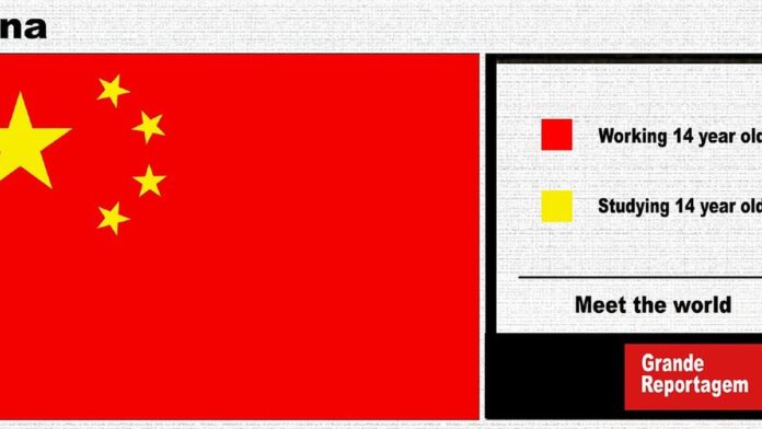 Alimentador automático de pets branco com câmera acoplada, exibindo ração em uma tigela de aço inoxidável.