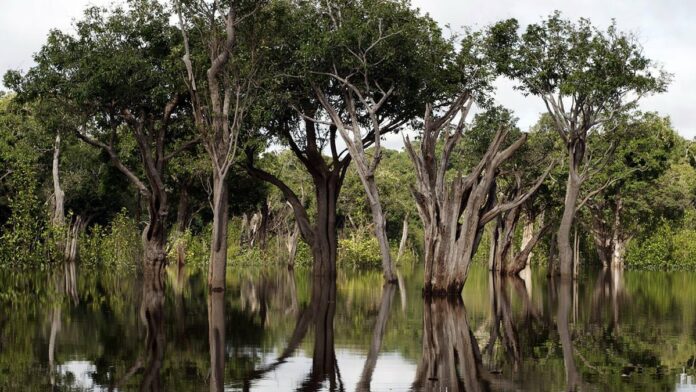Dispositivo Fire TV Stick 4K plugado em uma televisão, com controle remoto ao lado sobre uma superfície neutra.
