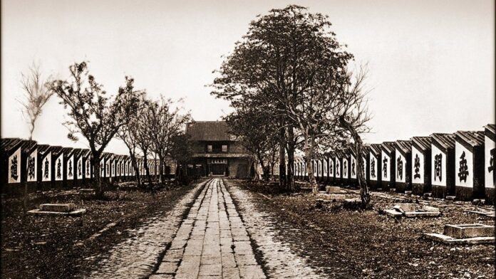 Especialista em TI analisa dados em telas de computador em um escritório, simbolizando a gestão de backups seguros.