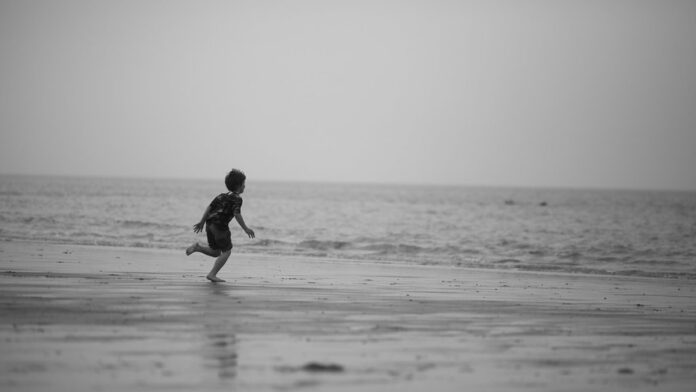 Baleia jubarte encalhada na areia de uma praia com biólogos ao redor realizando procedimentos de avaliação.