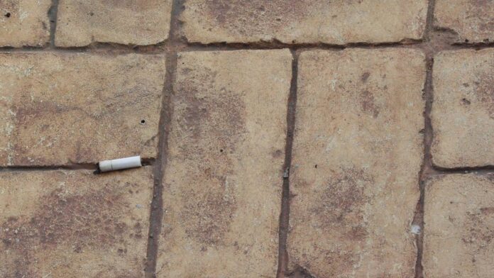 Muitas pontas de cigarro descartadas sobre o solo, ilustrando a poluição causada por resíduos de tabaco.