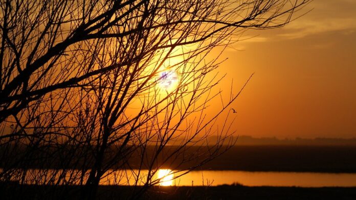 Jogadores da seleção brasileira de beach soccer celebram a conquista do título na areia, erguendo o troféu.