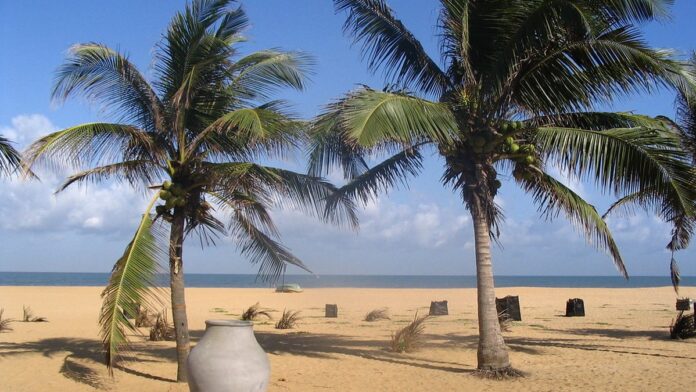 Pessoas caminham sob sol forte em rua seca e ensolarada do Sri Lanka, com vegetação amarelada ao fundo.