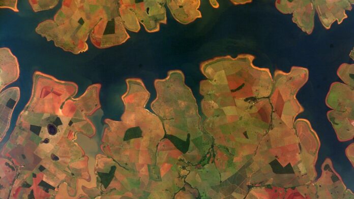 Plantação de soja sob sol forte em campo vasto, ilustrando os efeitos das condições climáticas na colheita.