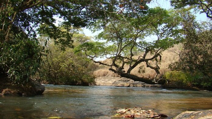 Pilha de caroços de açaí próximos a equipamentos industriais de processamento em uma fábrica no Pará.