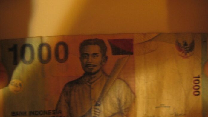 Arara-azul em viveiro, com plumagem vibrante, exibida como mercadoria em ambiente fechado.