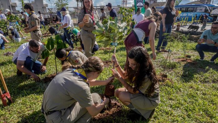 Pessoas plantando mudas de árvores em um terreno aberto, com mãos segurando terra e vegetação ao fundo.