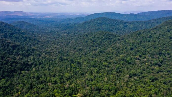 Vista aérea de uma vasta área de floresta amazônica densa e verde sob um céu nublado.