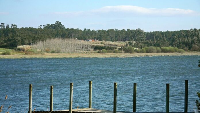 ex-vice-prefeito-do-es-condenado-por-morar-nos-eua Foto de um homem de meia-idade vestindo terno, posando para retrato formal em frente a uma bandeira oficial.