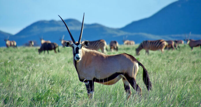 Imagem: meio_ambiente