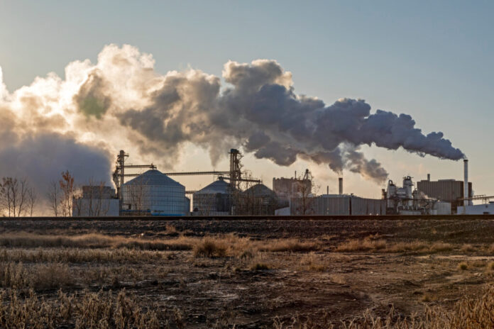 Imagem: meio_ambiente