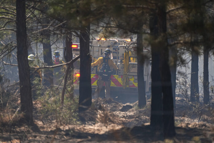 Imagem: meio_ambiente