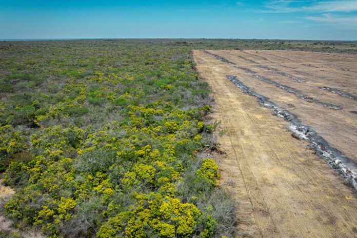 Imagem: meio_ambiente