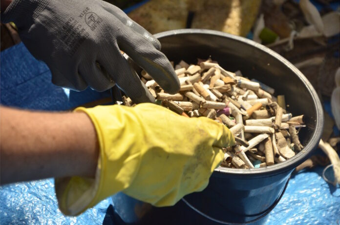 featured-28603 Imagem: meio_ambiente