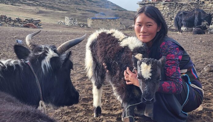 Imagem: meio_ambiente