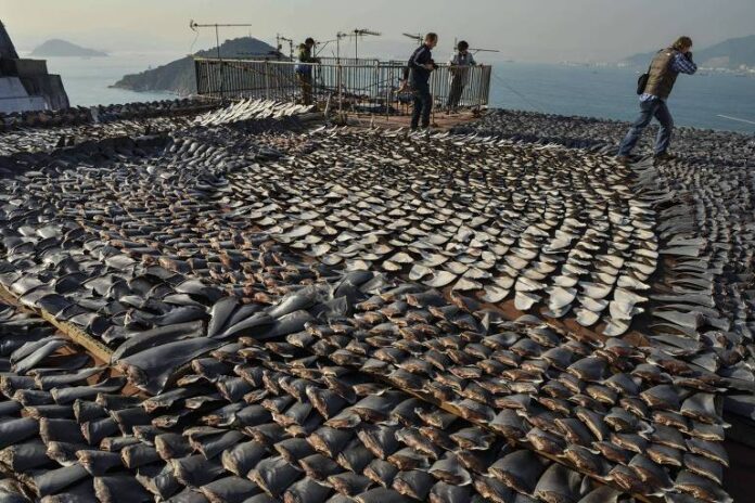 Imagem: meio_ambiente