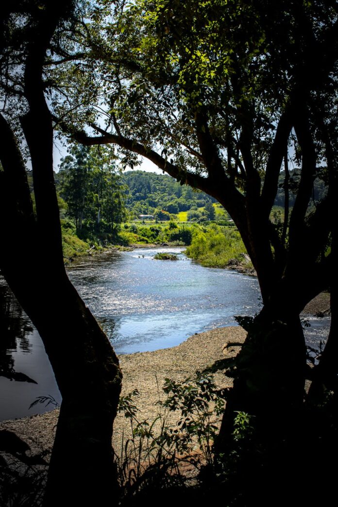 Uma vista serena de um rio rodeado por vegetação exuberante em Bom Princípio, Brasil, sob um céu claro.