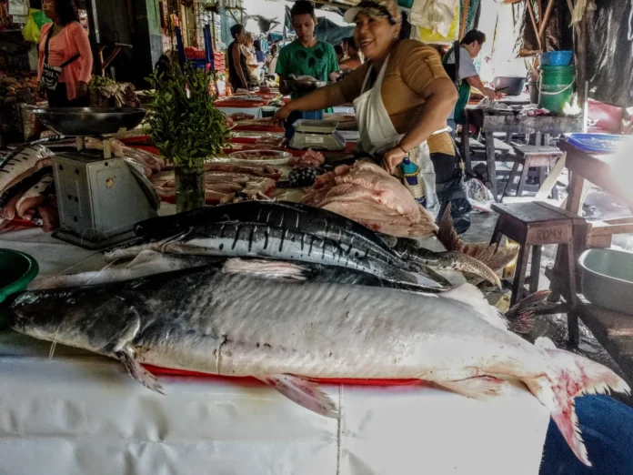 Imagem: meio_ambiente