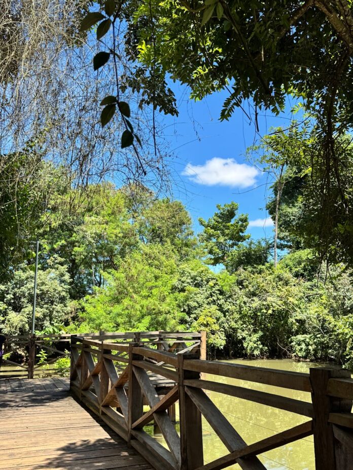 Foto profissional grátis de América do Sul, ao ar livre, área recreativa