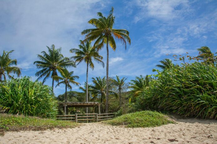 Foto profissional grátis de América do Sul, ao ar livre, areia