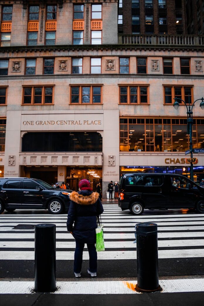 Foto profissional grátis de América do Norte, andando, aparência