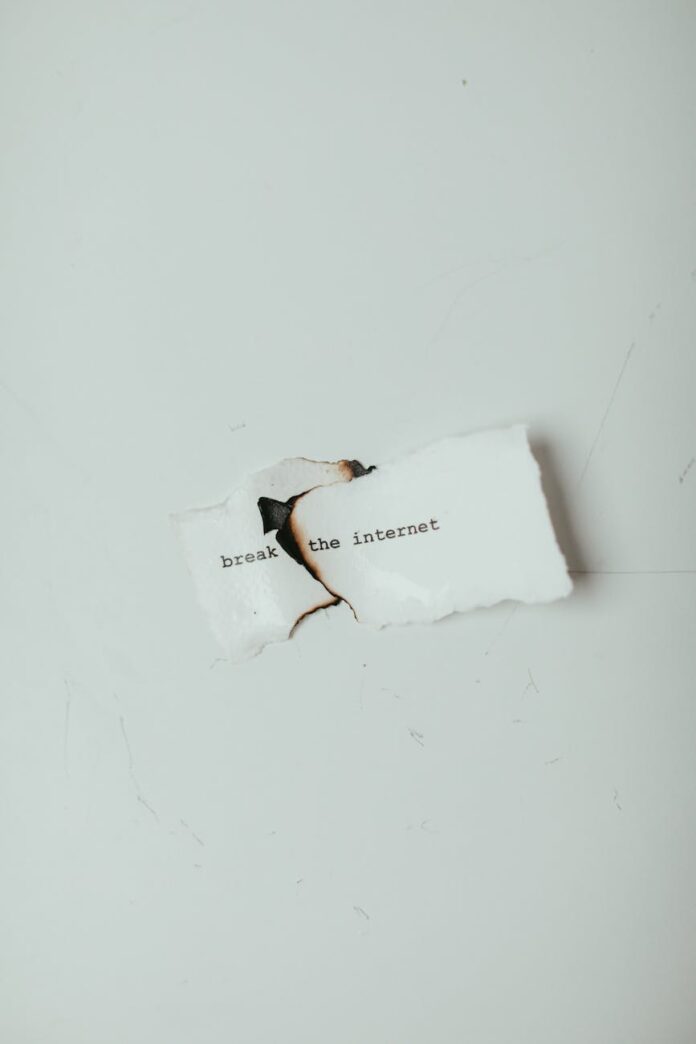 Foto profissional grátis de ardente, bordas carbonizadas, bordas queimadas