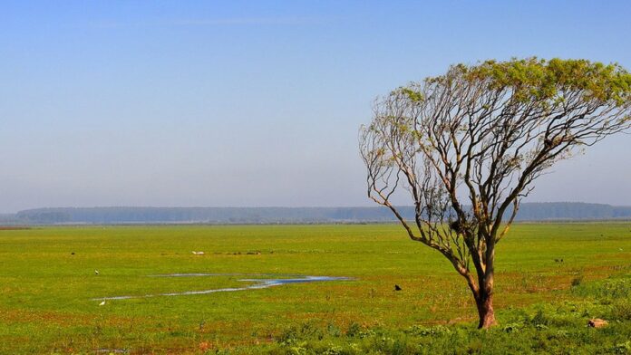 Foto de rosto da comandante da Guarda Municipal, uma mulher sorridente, em plano médio contra fundo desfocado.