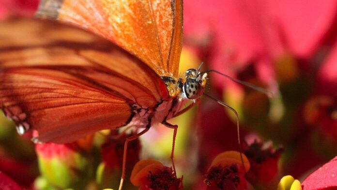 Fachada de um grande centro de dados com estrutura industrial, cercado por gramado e céu aberto.