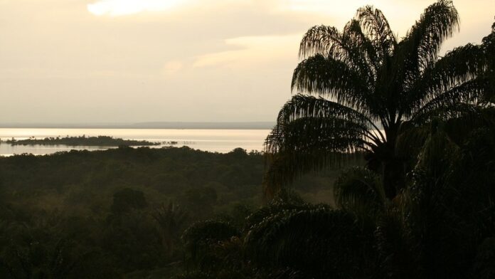 Equipes da defesa civil e voluntários distribuem mantimentos para moradores em rua alagada de Marituba.