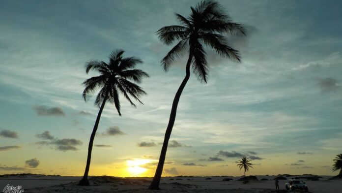 governo-do-paran-inicia-pavimenta-o-da-rodovia-pr- Máquinário pesado realiza a pavimentação de uma estrada de terra com vegetação ao fundo sob céu claro.