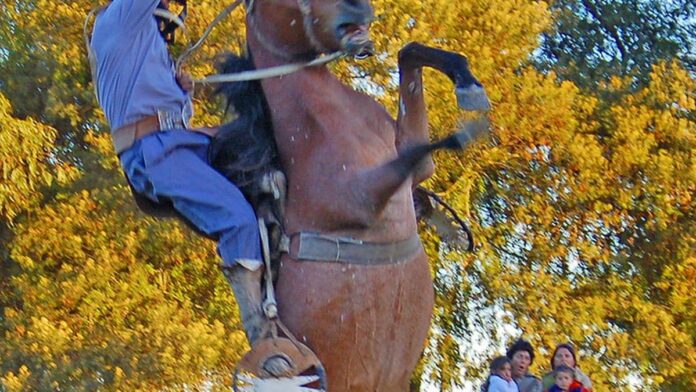 Close-up de água cristalina em um rio, destacando a biodiversidade subaquática e o reflexo da vegetação na superfície.
