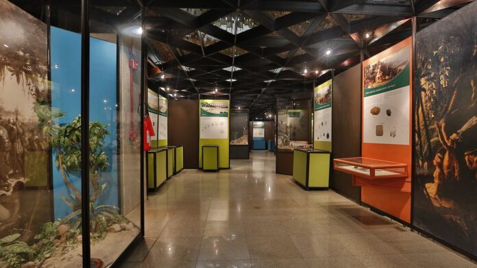 Fachada do Hospital Regional de Pombal com movimento de pessoas na entrada e ambulância estacionada.