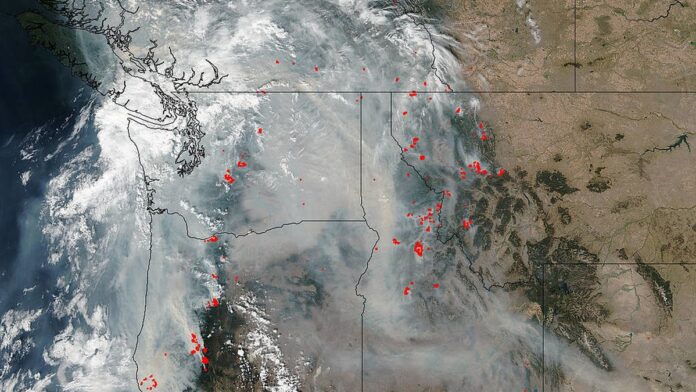 Grande área de floresta em chamas com labaredas altas e densa fumaça cinzenta cobrindo o horizonte.