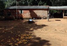 Jovens quilombolas do Maranhão têm acesso a cursos no projeto Vem Pro Quilombo Jovens quilombolas sorridentes sentados em uma sala de aula, usando notebooks e participando de uma oficina educativa.