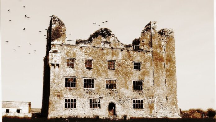 Lagarto de corpo escuro e cabeça alaranjada apoiado sobre uma rocha acinzentada em ambiente natural.