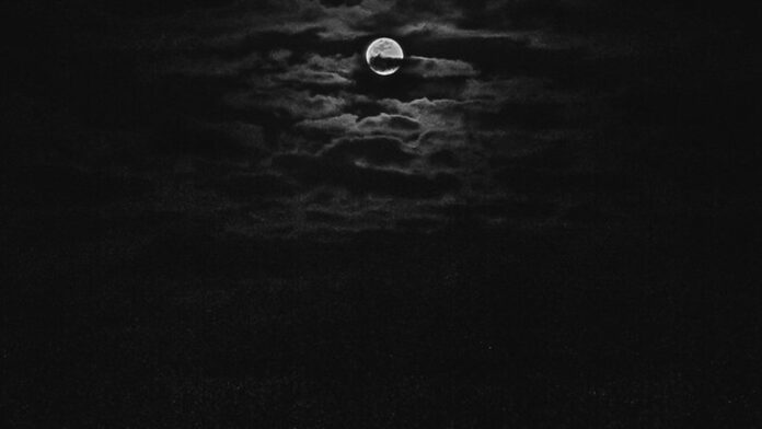 Ônibus estacionado em via urbana com cones de sinalização e atletas correndo ao fundo em rua bloqueada.