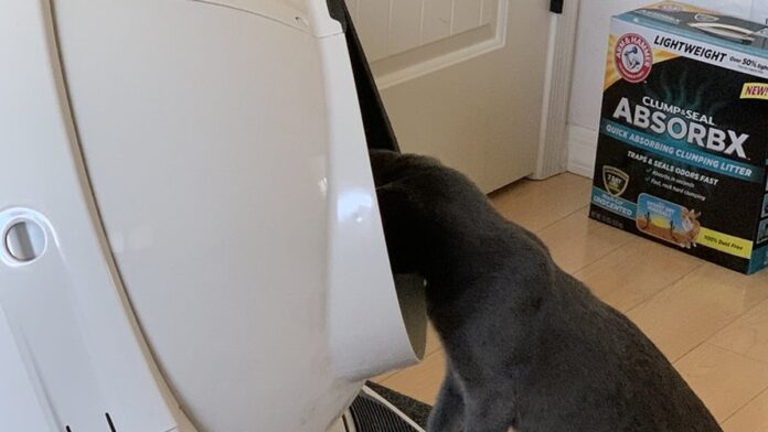 Gato sentado ao lado de um Litter-Robot branco, caixa de areia automática moderna, em um ambiente doméstico iluminado.