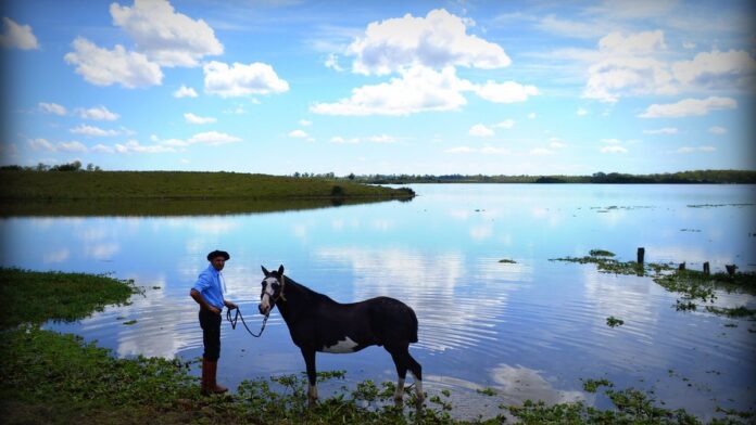 Mão segurando um smartphone que exibe uma notificação de solicitação de código de autenticação de dois fatores.