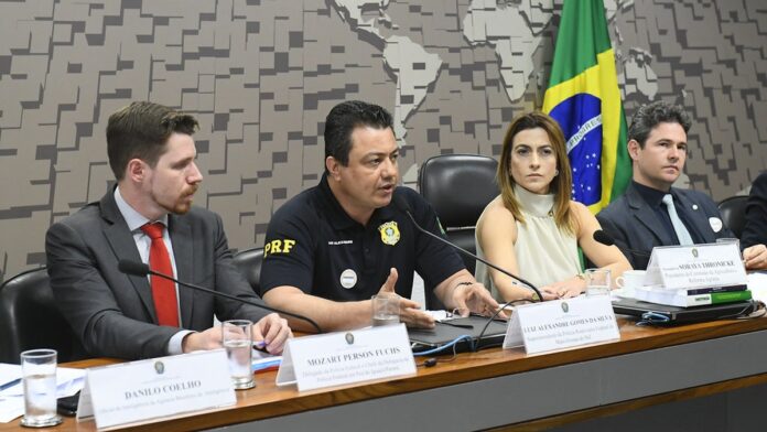 Plantação verde e extensa de grãos sob céu claro, indicando desenvolvimento saudável das lavouras no campo.