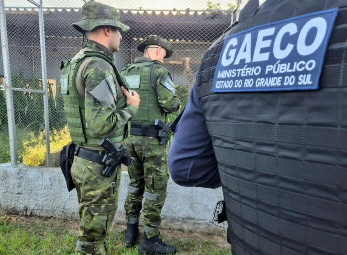 MPRS apoia operação do MPSC contra organização criminosa investigada por tráfico de animais silvestres