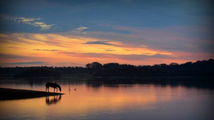 Membros do Ministério Público reunidos em uma sala de conferência discutindo políticas de proteção à infância.