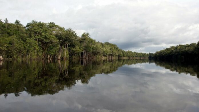 Seleção de dispositivos eletrônicos Apple e TV Hisense exibidos lado a lado sobre um fundo neutro.