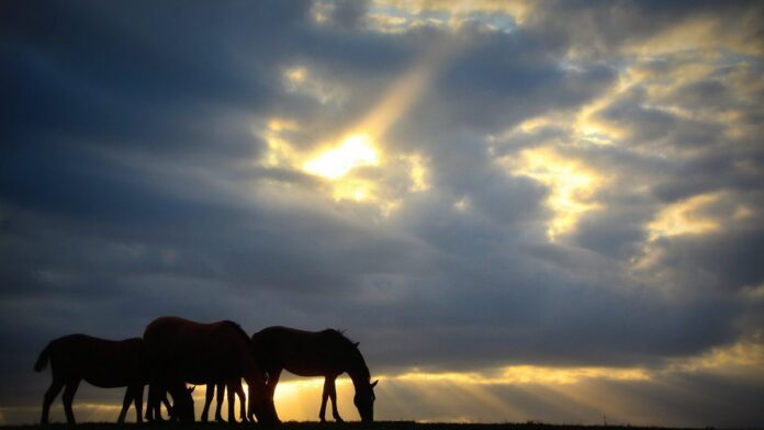 onda-de-calor-atinge-sul-sudeste-e-centro-oeste-en Pessoas se refrescando em uma fonte pública sob sol forte e céu azul limpo em um dia de calor intenso.