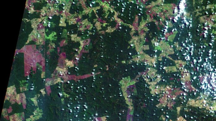 opera-o-medusa-prende-quatro-suspeitos-de-lavagem- Polícia Federal em frente a uma viatura durante ação contra lavagem de dinheiro no Pará.