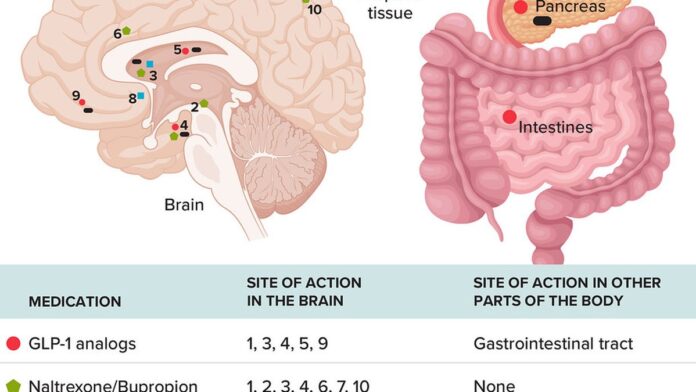 Ozempic tem patente vencida, mas alternativas nacionais só chegam até junho