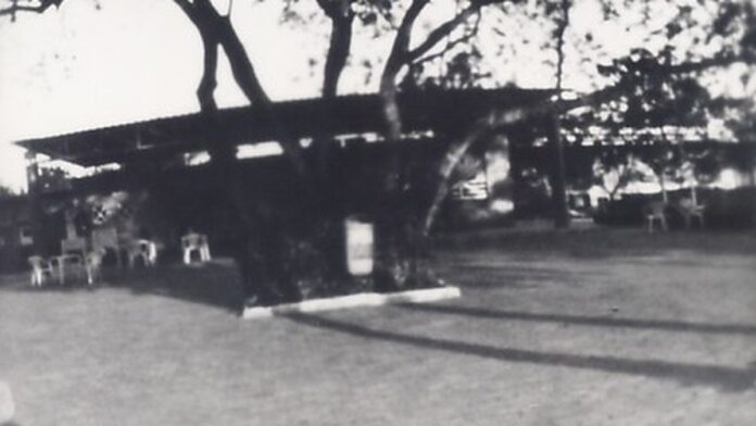 Close-up de pesquisadores em laboratório analisando amostras de madeira tratada com instrumentos científicos.