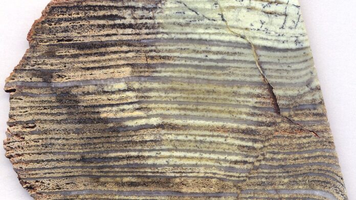 placas-tect-nicas-da-terra-j-se-moviam-h-3-5-bilh- Ilustração 3D mostra a superfície da Terra primitiva com fissuras e magma brilhante evidenciando placas tectônicas.